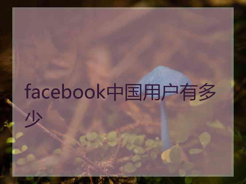 facebook中国用户有多少