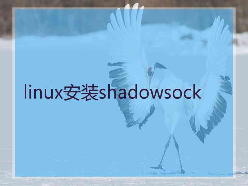 linux安装shadowsock