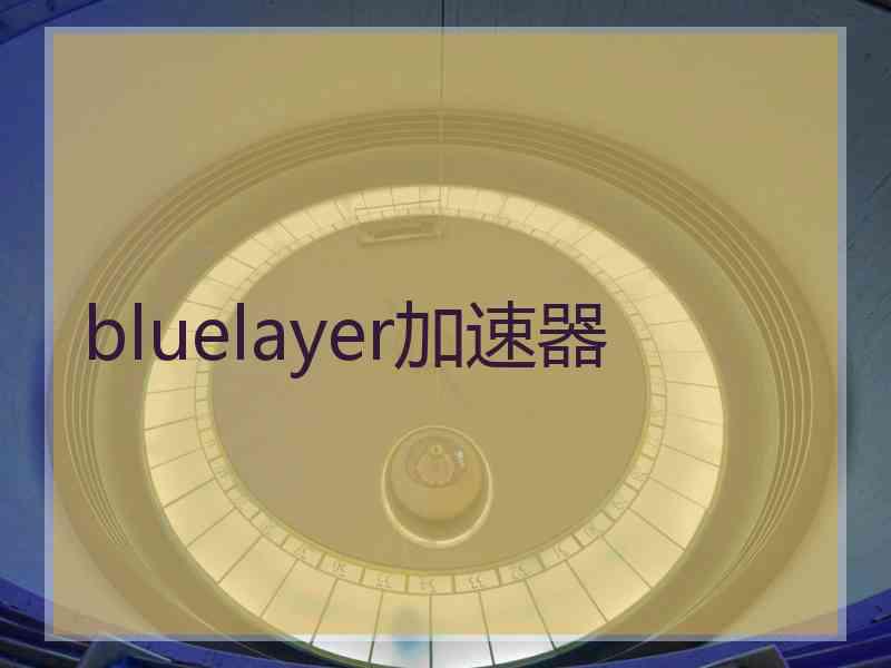 bluelayer加速器