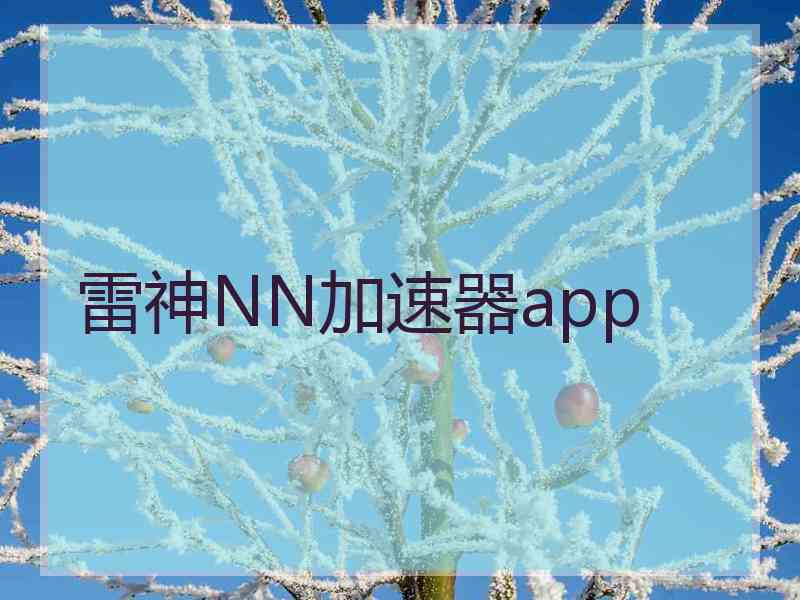 雷神NN加速器app