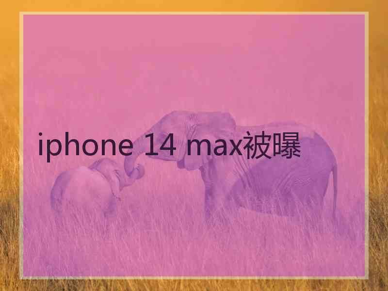 iphone 14 max被曝