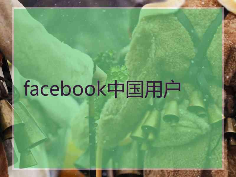 facebook中国用户